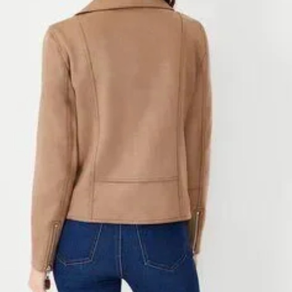 Ann Taylor moto jacket - Picture 4 of 10